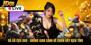 Đá Gà Cựa Dao - Không Gian Sảnh Kê Chiến Đầy Kịch Tính