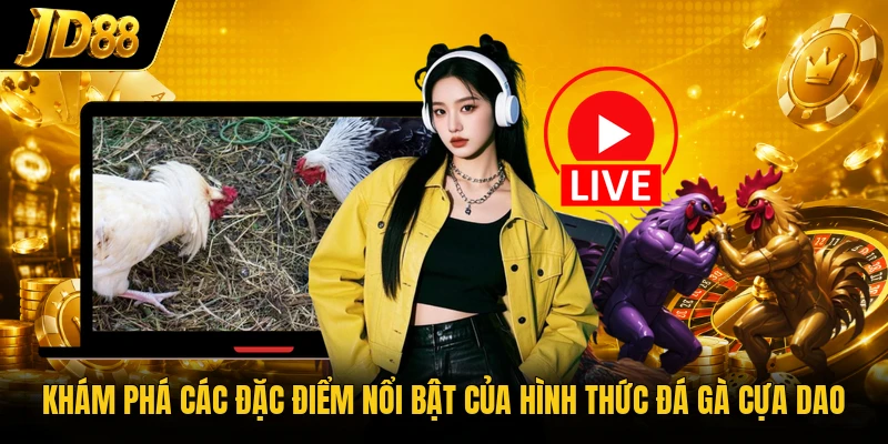 Khám phá các đặc điểm nổi bật của hình thức đá gà cựa dao