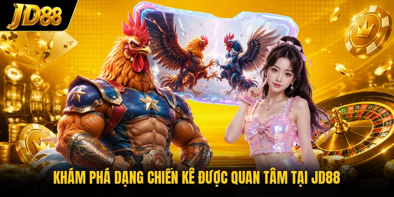 Khám phá dạng chiến kê được quan tâm tại JD88