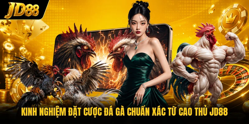 Kinh nghiệm đặt cược đá gà chuẩn xác từ cao thủ JD88