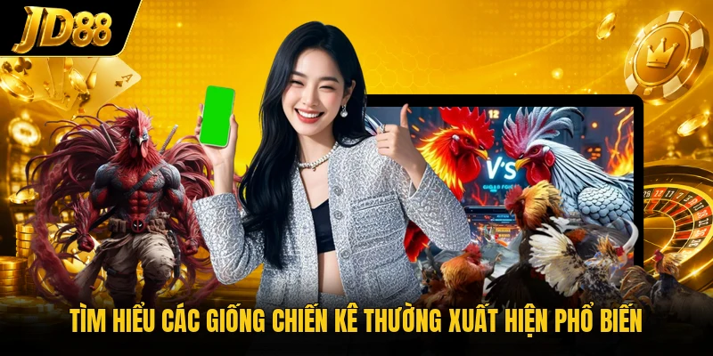 Tìm hiểu các giống chiến kê thường xuất hiện phổ biến