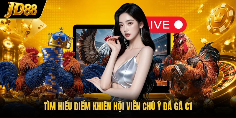 Tìm hiểu điểm khiến hội viên chú ý đá gà C1