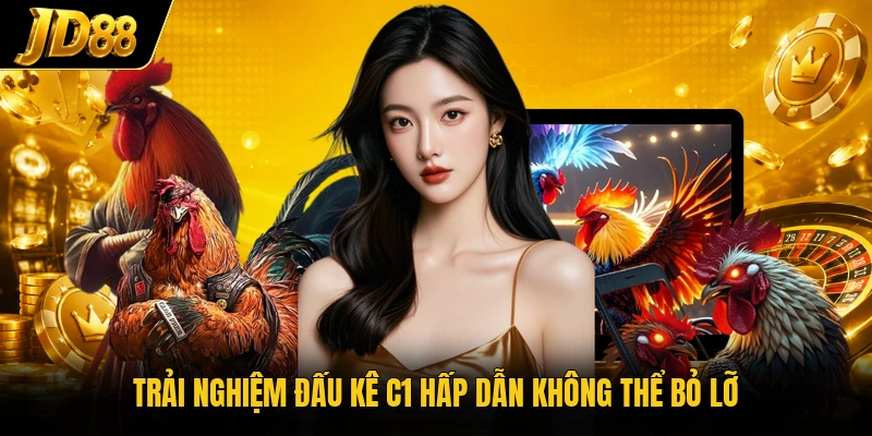 Trải nghiệm đấu kê C1 hấp dẫn không thể bỏ lỡ